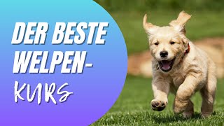 Wir planen einen Welpenkurs - Unser Konzept, Vorstellungen & Preise