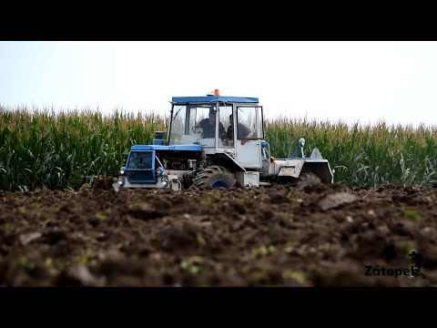 Vzpomínka na LÉTO 2019 I Summer 2019 I Season 2019