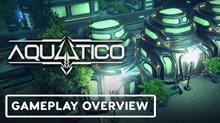 Aquatico (PC) Steam Key GLOBAL