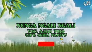 Download lagu Video Lirik Lagu Batak - Ajari Trio - Nunga ngali ngali - cipt.  serli napitu mp3