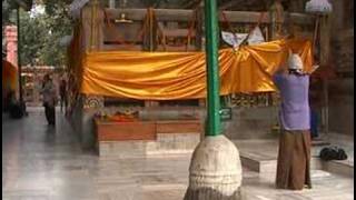 preview picture of video 'Full Prostrations in Bodh Gaya'