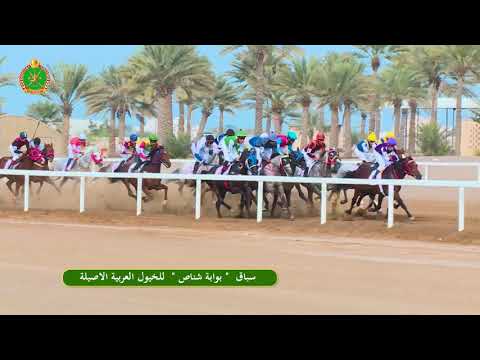 الشوط الثالث- السباق الخامس- 16/11/2018 - Race 5 3rd meeting