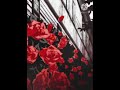 Are You Ready For Love Elton John Slowed Reverb