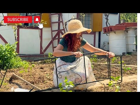 Din GRĂDINĂ cu emoții: răsaduri, o sperietură zdravănă și o SURPRIZĂ pentru o urmăritoare