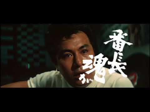 Delinquent Boss: Wild Dogs