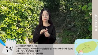 몰질
