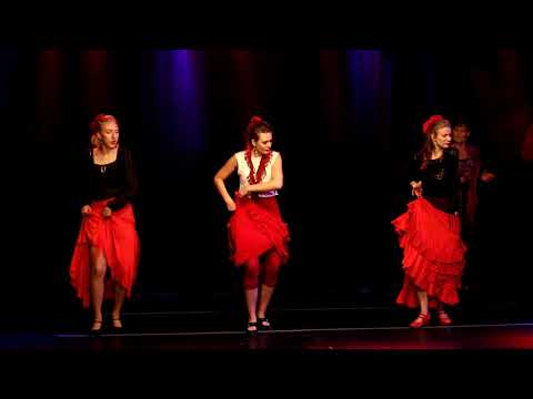 Flamenco Evas fördjupningsgrupp