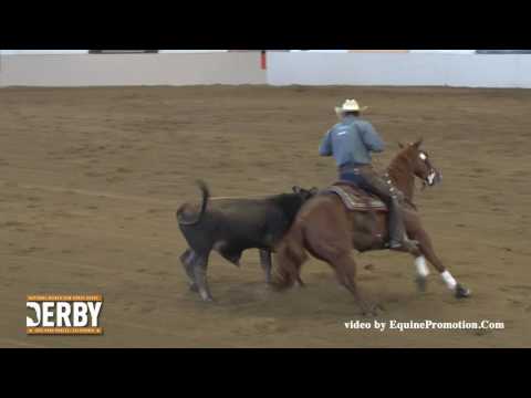 Smooth N Cash ridden by Jake D. Gorrell  - 2016 NRCHA Derby (Cow Work - Bridle Spec, Open)