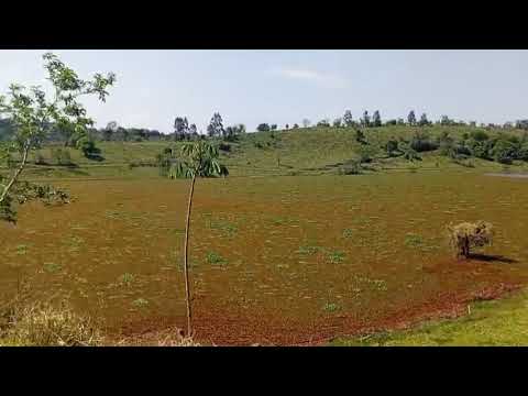Rio jaracatiá de nova prata do Iguaçu Paraná 
