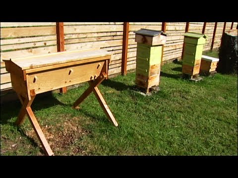 Beekeeping Basics -  3 Types of Beehives - Mobile Minute