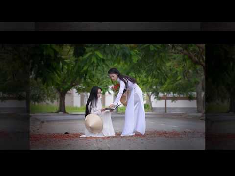 GIÃ TỪ CÁNH PHƯỢNG VĨ