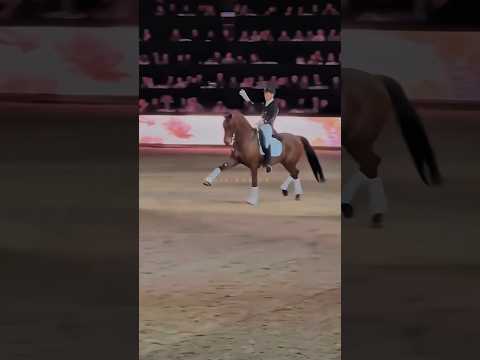 Just for fun 🤩 #edit #fyp #animals #horse #equine #sports #dressage #viral #equestrian #music