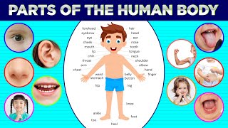 Parts of the Human Body | Learn for Knowledge