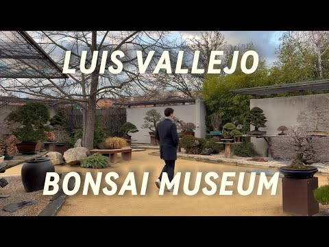 LUIS VALLEJO BONSAI MUSEUM