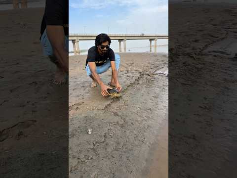 Accounts Link in Description 👇