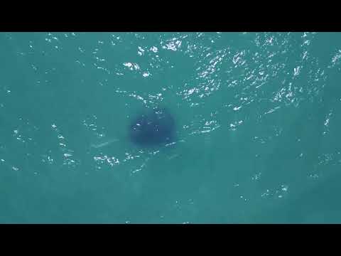 Magnetic Island 2023