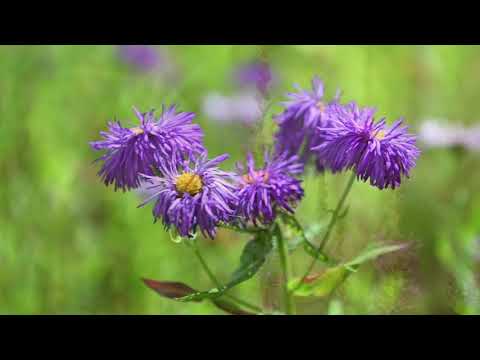 Euro Styl Osiedle Beauforta - ciesz się wakacjami!