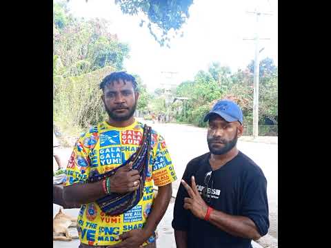 Pirai kema_____Thomson guffii 2023