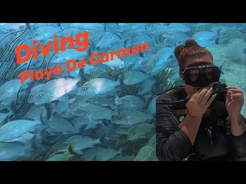 Diving Playa De Carmen (Phantom Divers)