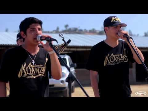 Maxima Alianza - Gente De Accionar (En Vivo 2016) HD