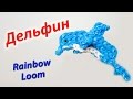 ДЕЛЬФИН из резинок Rainbow Loom Bands. Урок 149 | Dolphin ...