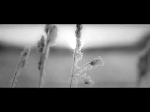 Bonson x Vixen x HuczuHucz - Depresja, Nerwy, Stres (BraKe Blend)