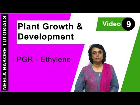 download lagu mp3 mp4 Plant Ripening Hormone, download lagu Plant Ripening Hormone gratis, unduh video klip Plant Ripening Hormone