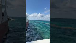 What is There to do in Costa Maya, Mexico | Honest review #shorts #vacationvibes #cruise