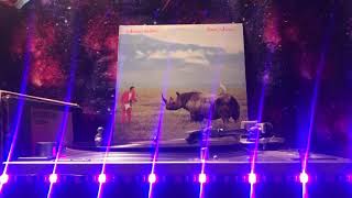 Adrian Belew - The Momur