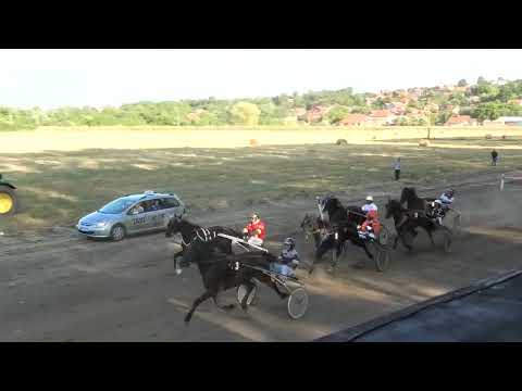 Trka "II Mesna zajednica Stari odbor-Velika Plana" 31.7.2022. Parma Ferm - Kečenović Monika