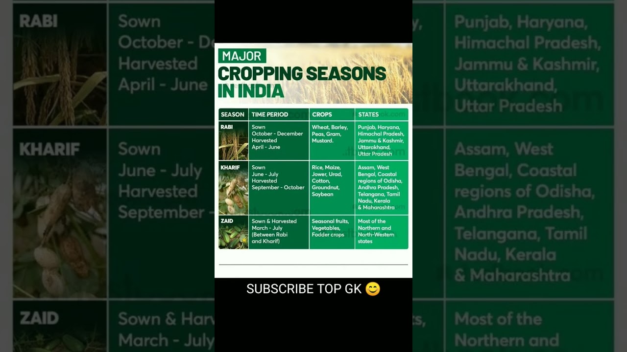 major cropping seasons in India #gk #india #crop #geography #shorts