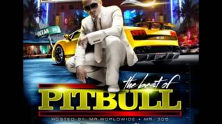 the best of pitbull -Dj wille&Dj buddha