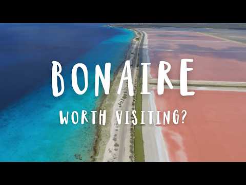 We Need To Talk About Bonaire... (Pros & Cons) | Travel Guide 2025