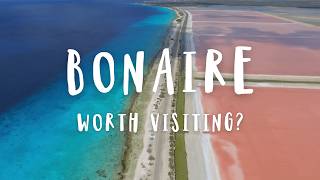 We Need To Talk About Bonaire... (Pros & Cons) | Travel Guide 2025