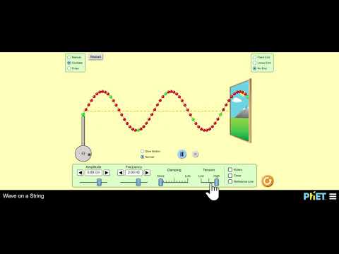 Phet Waves String