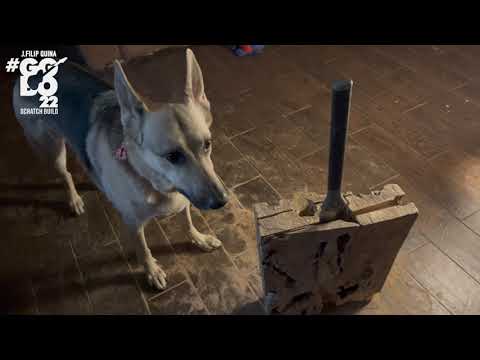 Awelive Build GGBO2022