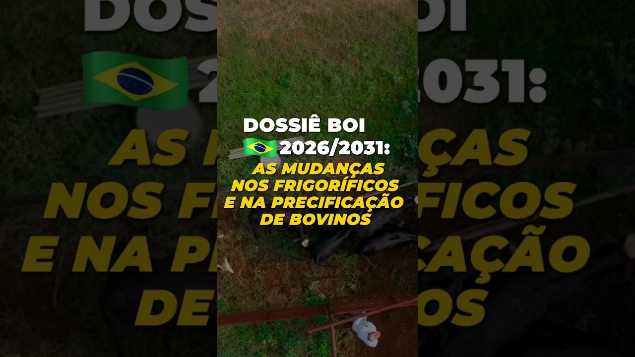 BOI BR 2026/2031: AS MUDANÇAS NOS FRIGORÍFICOS E NA PRECIFICAÇÃO DE BOVINOS
