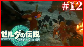 むしじゃがいもZZ【ゼルダの伝説 ティアーズ オブ ザ キングダム】#12