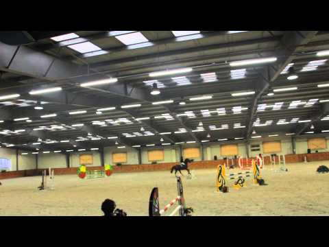 Julia Wiśniewska & Dolar- kl.P, Dąbrówka Mała 22.02.2015r.