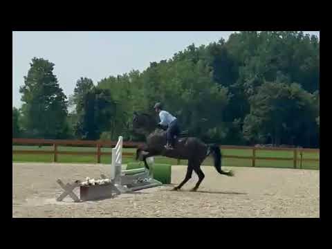 Furst Ferro video 1