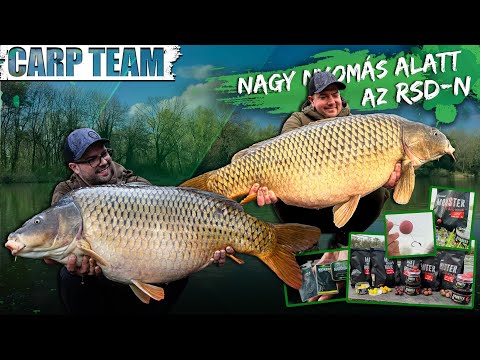 Erdélyi Tamás és Rokolya Péter - Nagy nyomás alatt az RSD-n