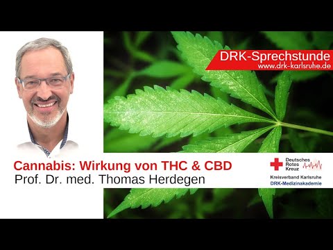 🌿 CANNABIS - Wirkung von THC & CBD I Prof. Dr. Thomas Herdegen I Moderator: Prof. Dr. B.-D. Gonska