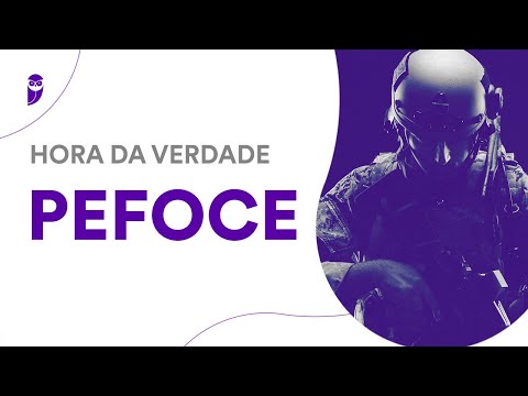 Hora da Verdade PEFOCE: Noções de Informática - Prof. Renato da Costa