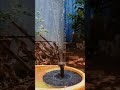 Solar Power Water Fountain For Garden No Battery Required Shorts Gardening Solarproduct Fountain