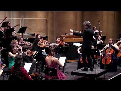 Gustav Mahler - Sinfonie Nr.4 | PreCollege Orchestra Zürich | bearb. für red. Orchester | M. Matesic