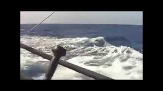 Tabasco Newport Bermuda 2008 Music Video Take 2