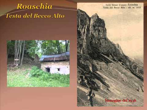 Roaschia
