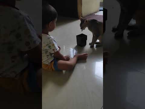 baby and cat loves ❤❤❤❤❤