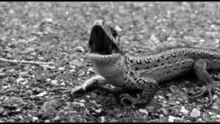 D&#39;ANGLERZ - &quot;Big God&quot; (Monster Magnet)