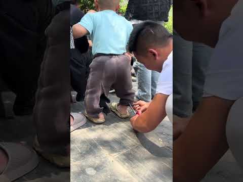 Little dwarf, don't be so arrogant. #Funnyvideo #Laugh #Funny #Dwarf #99cm